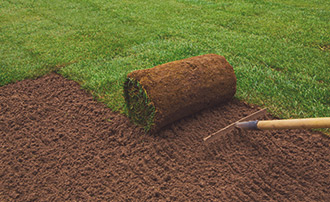 landscaping